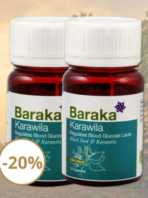 Karawila 2 balenia 20