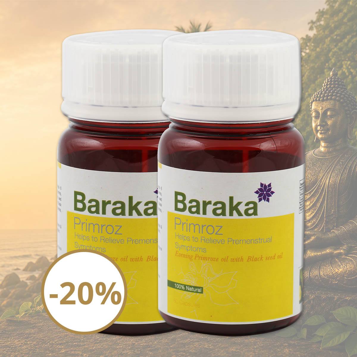 Primroz 2 balenia 20
